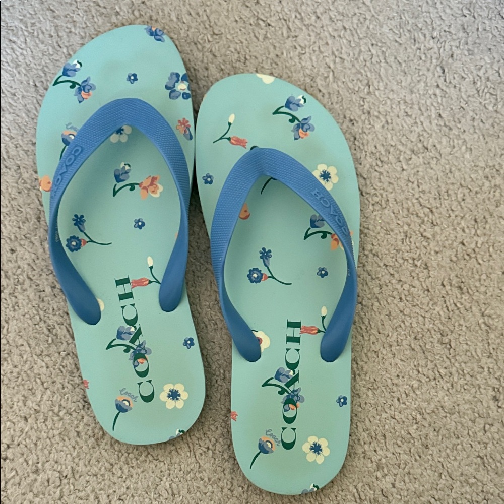 Coach Blue and Green Floral Flip Flops